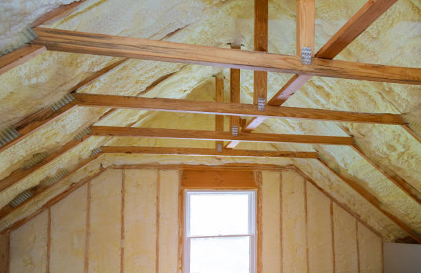 Best Residential Insulation Services  in Murrells Inlet, SC