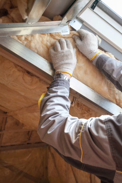 Best Insulation Contractors for Homes  in Murrells Inlet, SC
