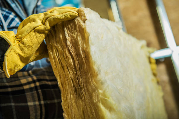 Best Spray Foam Insulation  in Murrells Inlet, SC