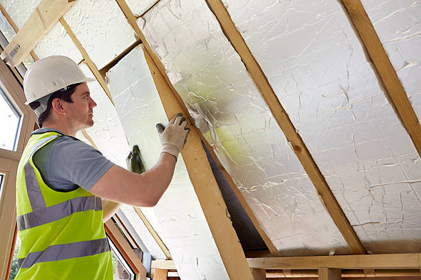 Best Best Insulation Companies  in Murrells Inlet, SC
