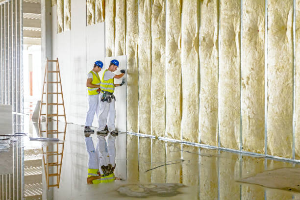 Best Crawl Space Insulation  in Murrells Inlet, SC